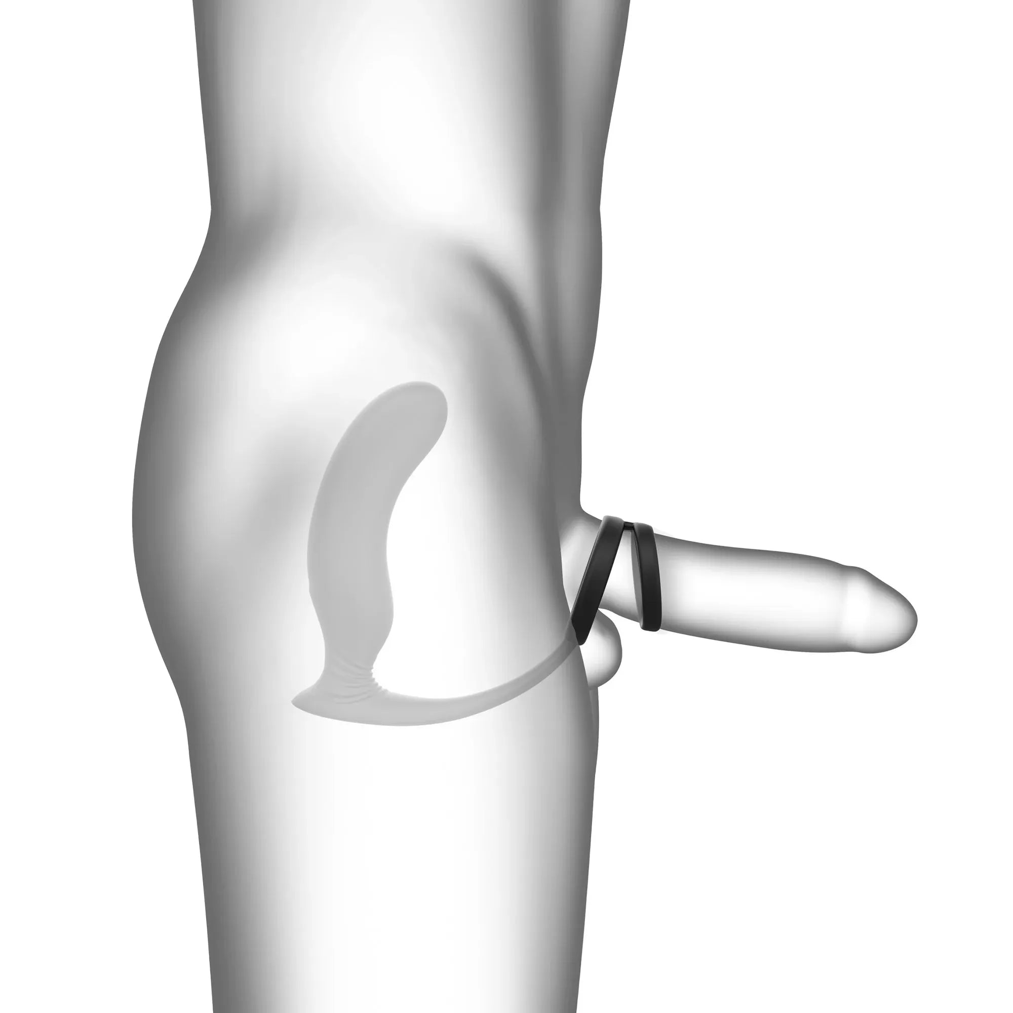 Illustration anatomique du sextoy double stimulation avec stimulateur de prostate et cockring – DOUBLE GAME