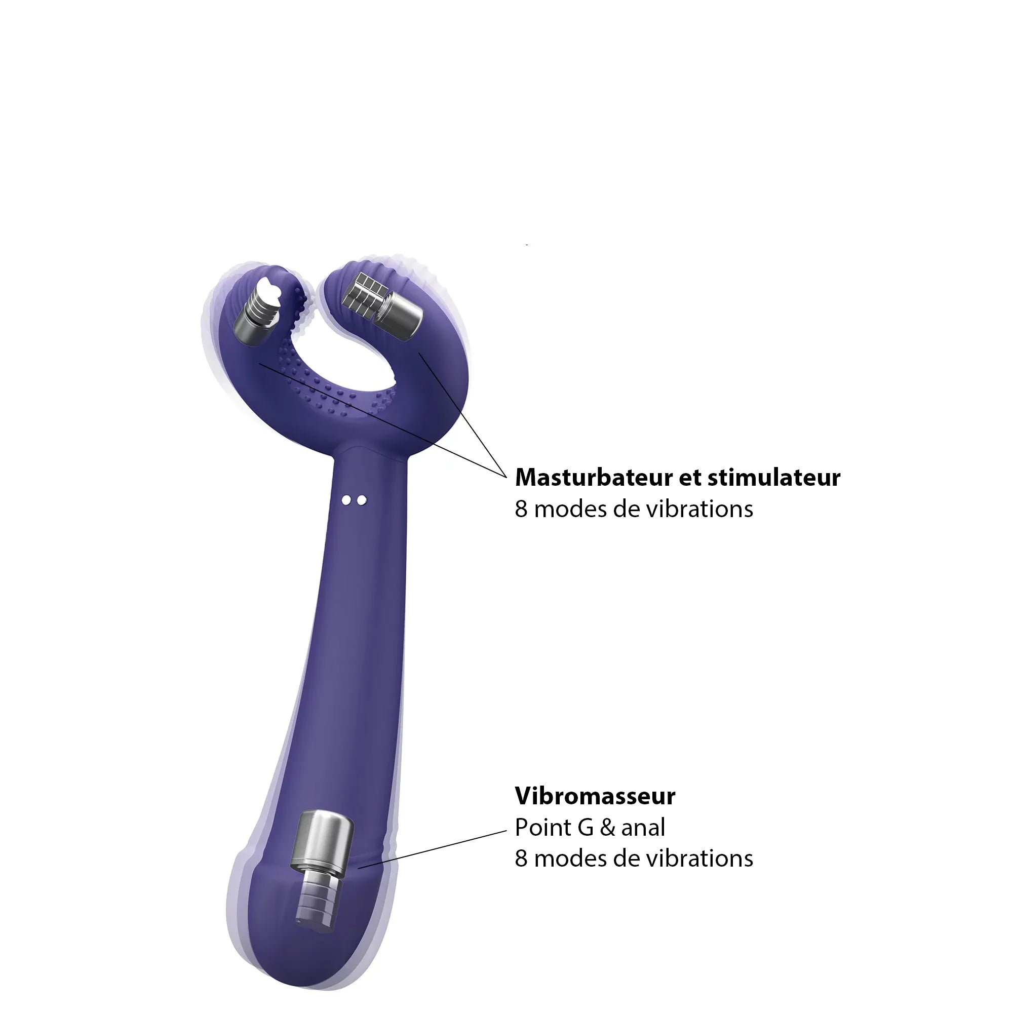 Stimulateur polyvalent Please Me avec vue détaillée des moteurs et de leurs modes de vibrations.