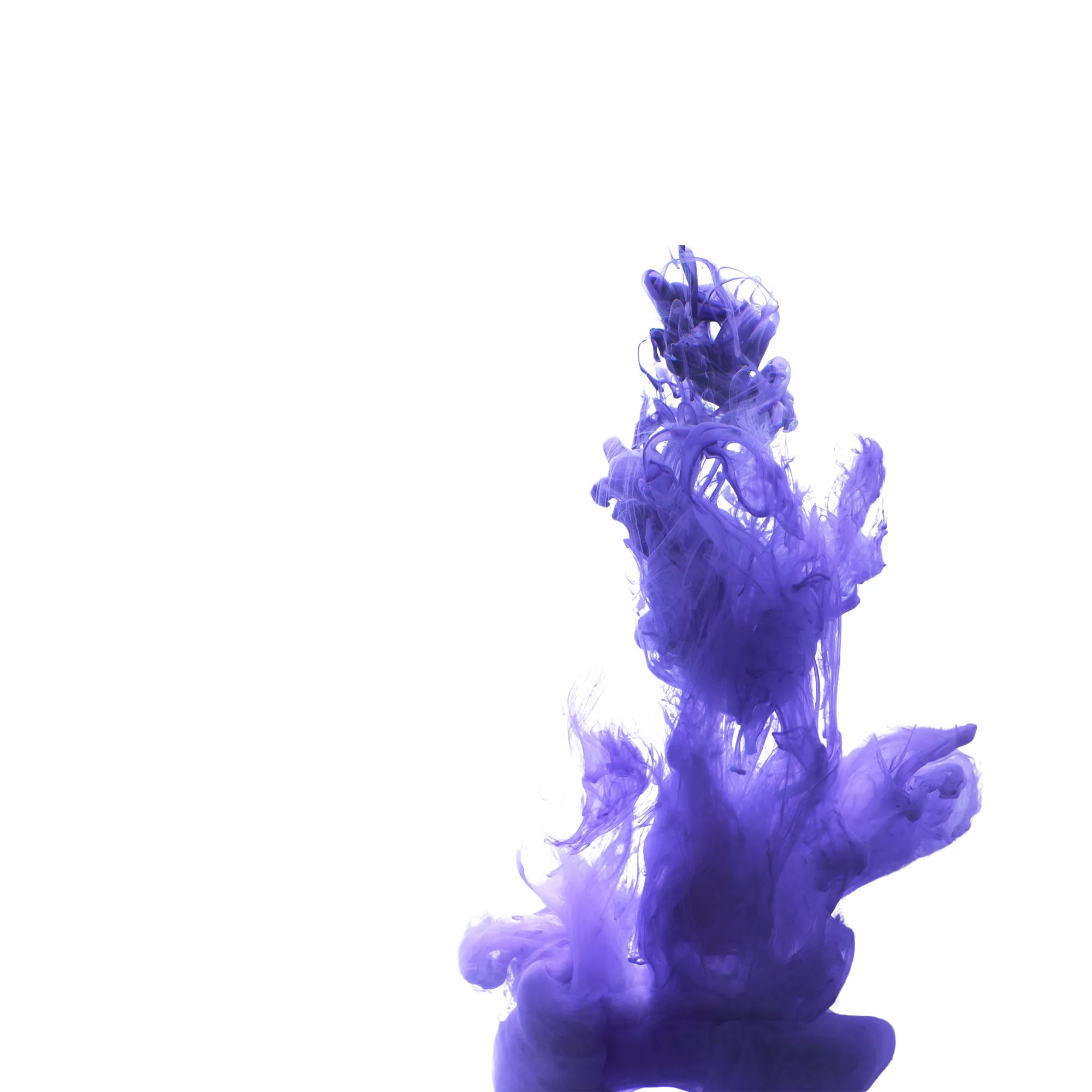 Effet artistique de fumée violette sur fond blanc